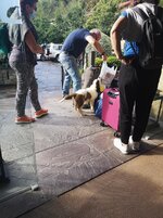 IMG_20200918_090807.jpg