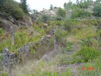 DSC02993.jpg