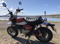 IMG_0710.jpg