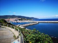 IMG_20200920_123210.jpg