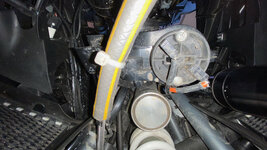 IMG_2890 (1).jpeg