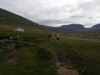 IMG_20200818_132635.jpg