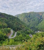 20200902_101742.jpg