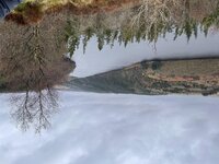 35F93E6C-6509-4C25-B1A5-C29B08B4EDA5.jpg