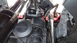 BMW Horn.jpg