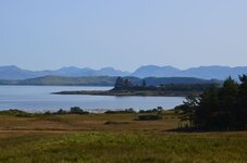 DSC_0038.jpg