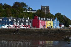 DSC_0098.jpg
