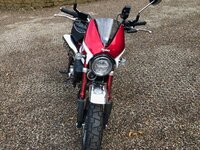 IMG_0787.jpg