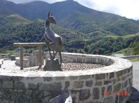 DSC01470.jpg