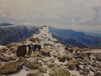 P1010114-01.jpg