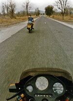 guzzi zim (1).jpg