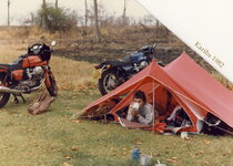 guzzi zim (2).jpg