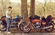 guzzi zim (4).jpg