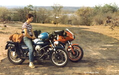 guzzi zim (8).jpg