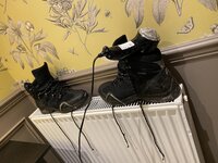 IMG_1009.jpg