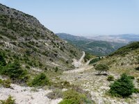 zahara1.JPG