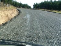 catlins2.jpg