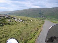 view over halton gill littondale 3 may 2005_web.jpg