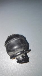 IMG_20210623_151239.jpg
