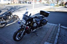 FB_IMG_1615757008242.jpg