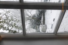 Birdfeeder.jpg