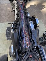 B77EFD07-1EDA-4702-B49C-7B7E2D0A2671.jpeg