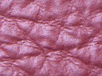 Pigmented-Close-Up.jpg
