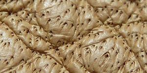 Refined_aniline_leather-01-Anilin.jpg