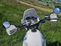 20210626_165924.jpg