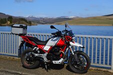 DSC_0027.jpg