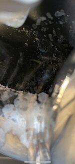 F291B9E6-4D1A-46DB-B437-F22C4BDB1B6F.jpg