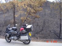 DSC02727 - Copy.jpg