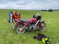 IMG_8584.jpg