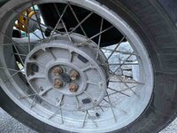 IMG_1591.jpg