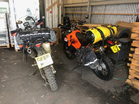 IMG_2690.jpeg
