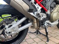 duc 2.jpg