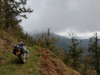 IMG_20211012_121025.jpg