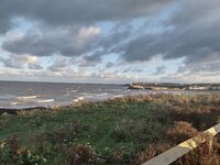 IMG_20211121_151835279_HDR.jpg