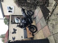IMG_4725.jpg