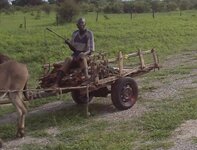 PH000582.jpg PH000582.jpg