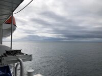 IMG_9055.jpg