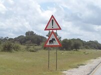 PH000625.jpg