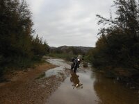 DSCN0078.jpg