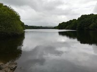 IMG_20210705_114841.jpg