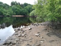 IMG_20210705_114825.jpg