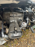 IMG_4109.jpeg