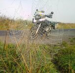 IMG_20210828_084848.jpg