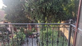 IMG_20220614_072821.jpg