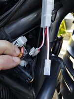 the harness in place.jpg
