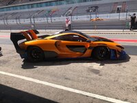 IMG_9229.jpg